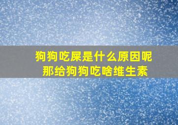 狗狗吃屎是什么原因呢 那给狗狗吃啥维生素